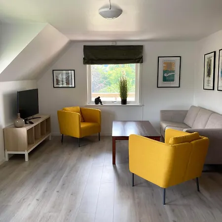 Store Ringheim - Hjadlane Apartament *